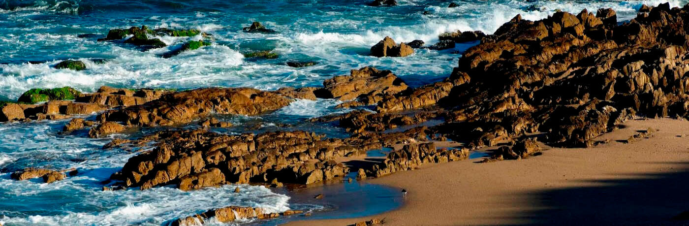 Rocky coast near Punta del Este, Uruguay.