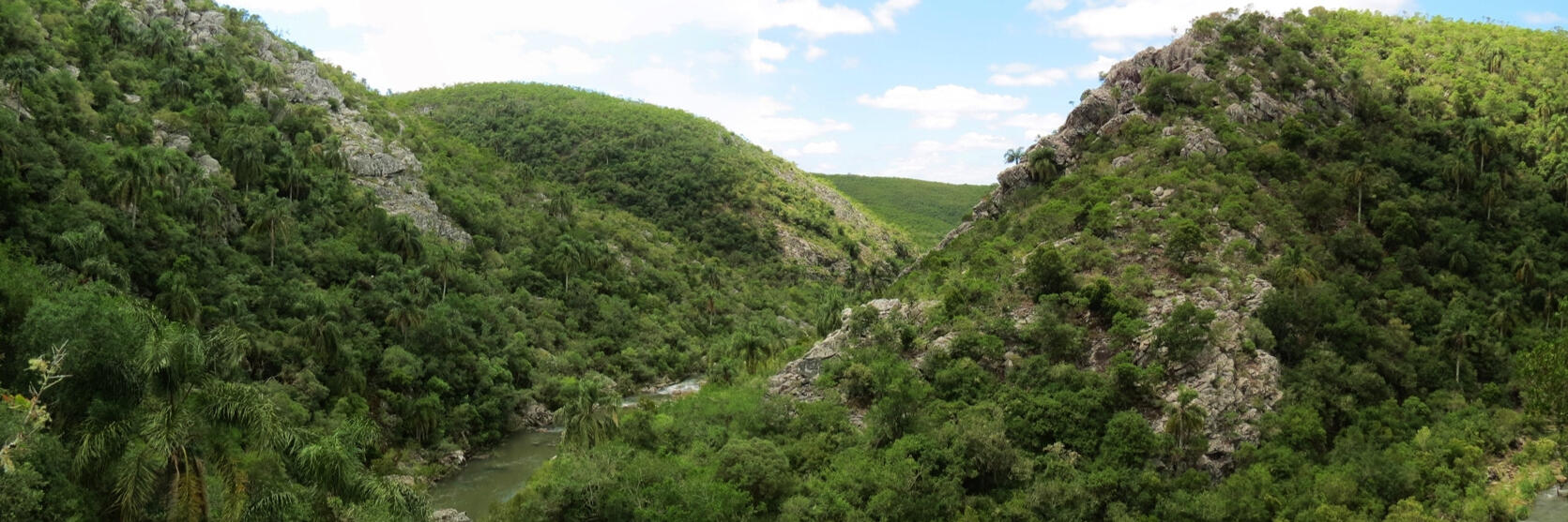 Wet Ravine native forest in birding routes in Uruguay