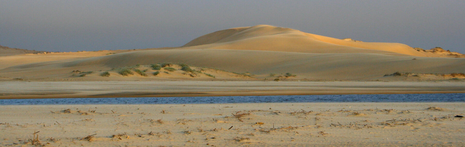 dune landscape on the Uruguayan coast