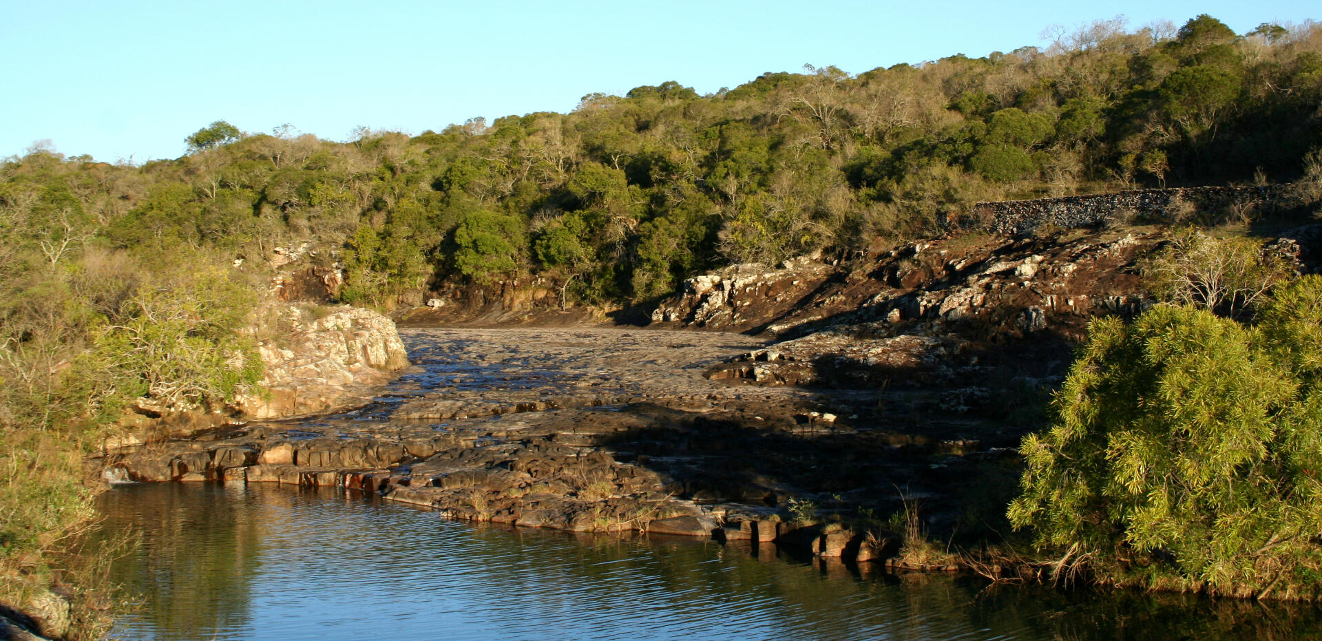 Pond surrounded by prairies in a bird watching route in Uruguay