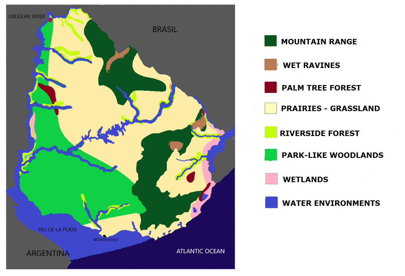Pond surrounded by prairies in a bird watching route in Uruguay